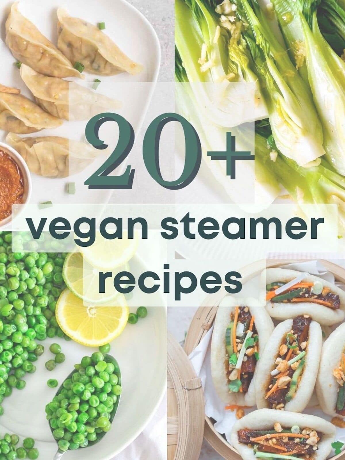 20+ Vegan Steamer Recipes: Veggies, Dumplings, & More!