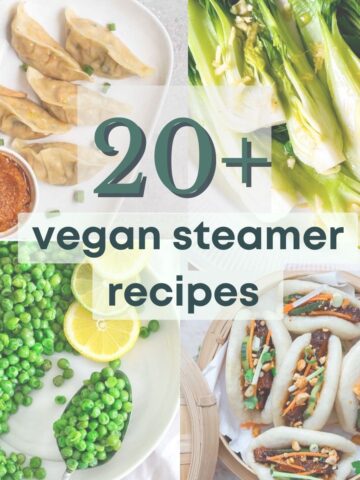 Vegan steamer recipes including dumplings, peas, cabbage, and bao buns.