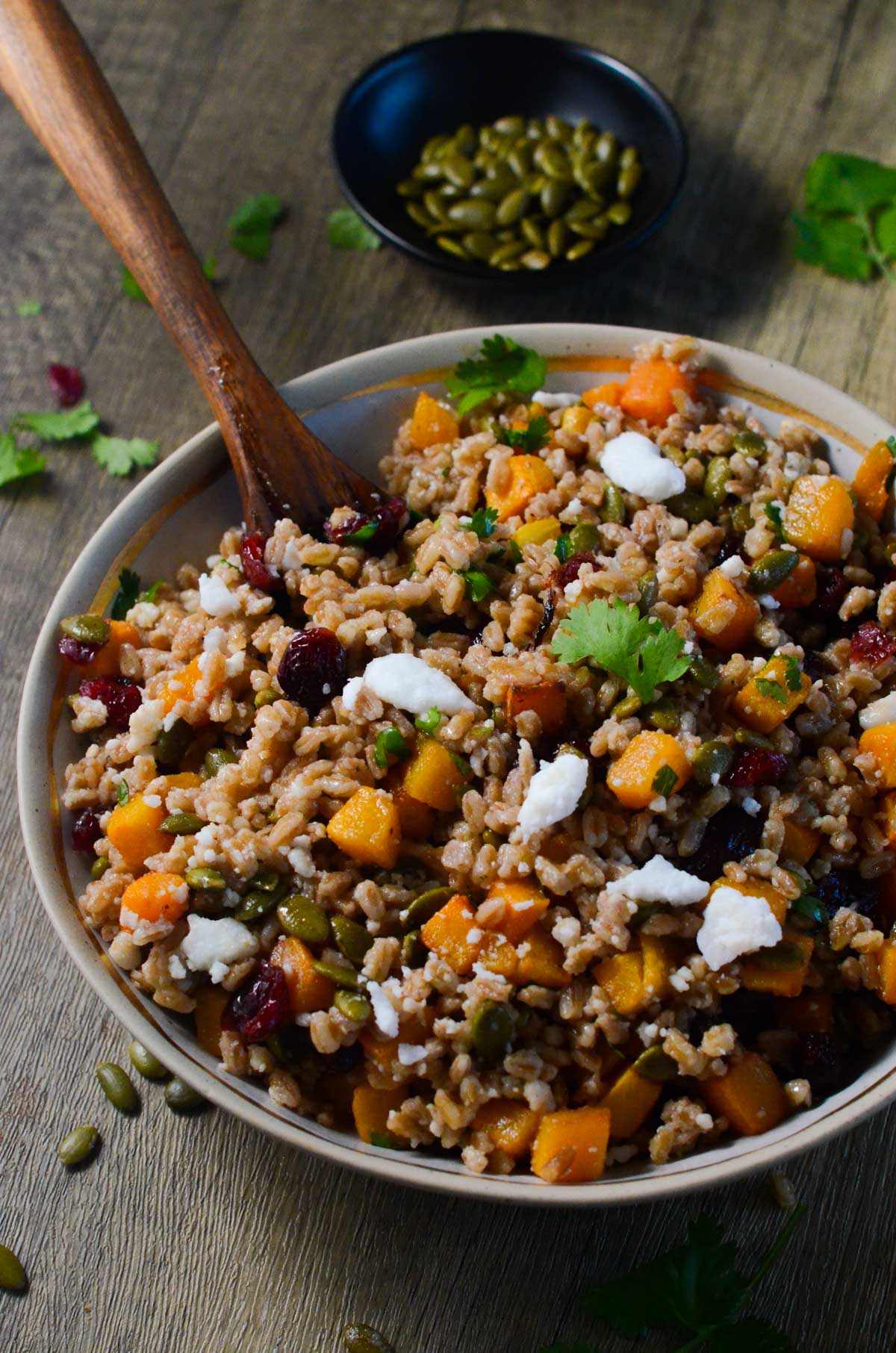fall farro salad in a bowl with a large brown spoon.