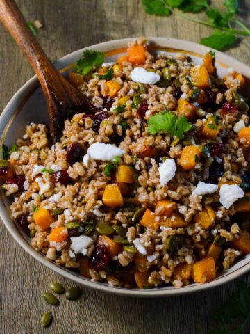 fall farro salad in a bowl with a large spoon and parsley.