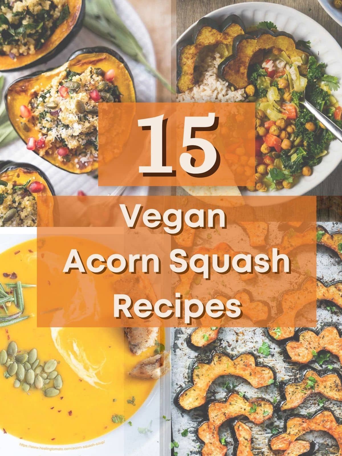 15 Vegan Acorn Squash Recipes Perfect for Fall