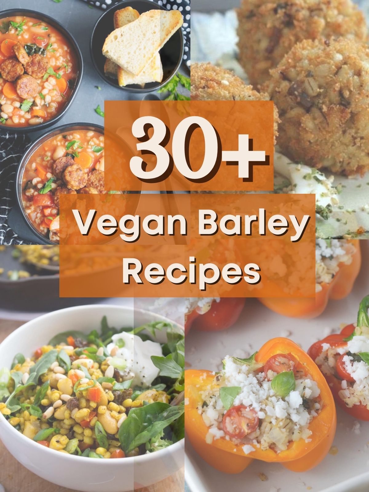40 Mouthwatering Vegan Recipes!
