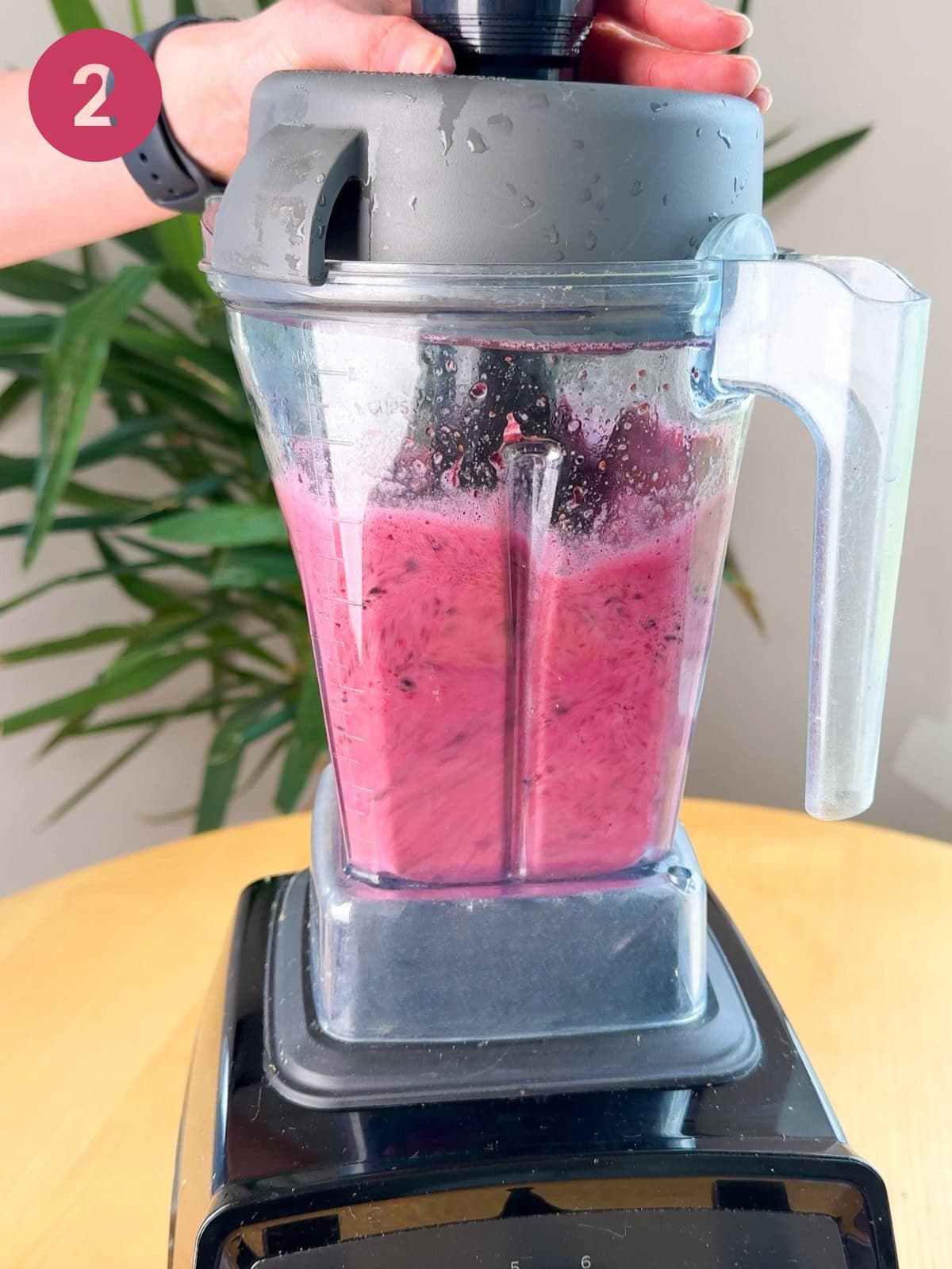 elderberry shot in blendere